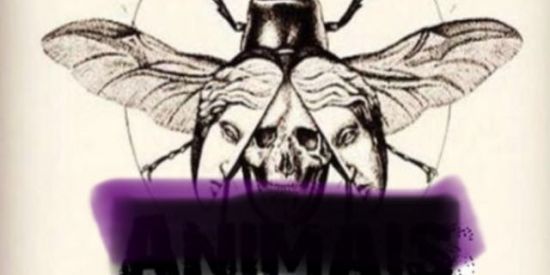 Imagem do grupo de WhatsApp “ทѳƬષ૨ทѳઽ”🃏