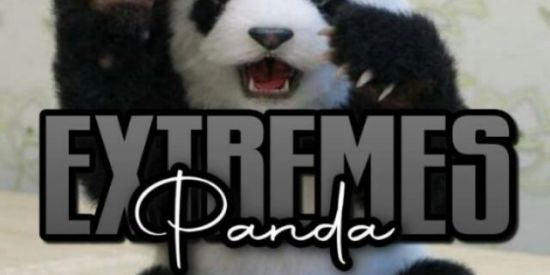 Imagem do grupo de WhatsApp ✨⚡Recrutamento✨⚡