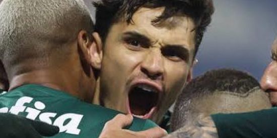 Imagem do grupo de WhatsApp 🌴🌴Palmeirense 💚💚🌴🌴