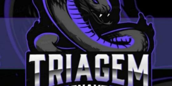 Imagem do grupo de WhatsApp TRIAGEM SNAKE 🐍