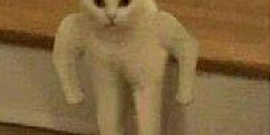 Imagem do grupo de WhatsApp 🖕🏻<{Oni-chan é o r