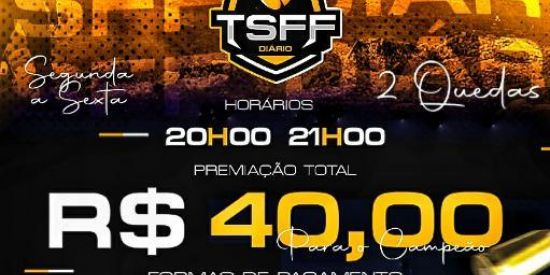 Imagem do grupo de WhatsApp TSFF diario