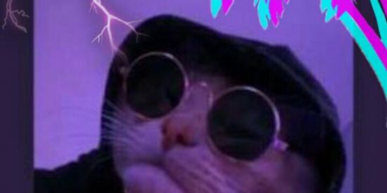 Imagem do grupo de WhatsApp ⃢⃟🌴⃟   ⃟ Sєм fυтυяσ⃟🌷
