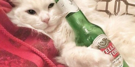 Imagem do grupo de WhatsApp ˖ꪻ͢Bᥲꧏ Dᥲ Mιᥣᥣy ๋࣪˖ 🤠