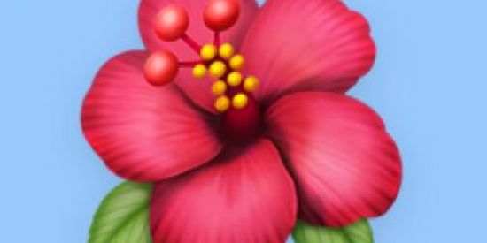 Imagem do grupo de WhatsApp PAZ