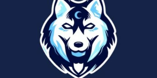 Imagem do grupo de WhatsApp Recrutamento Sultrix