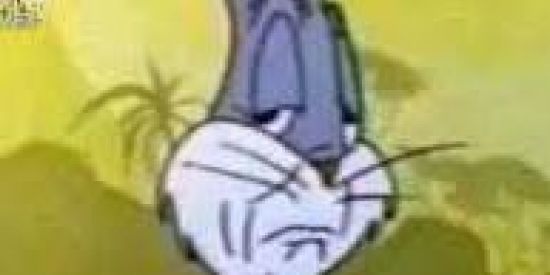 Imagem do grupo de WhatsApp Amizade e ZUEIRA ♥️