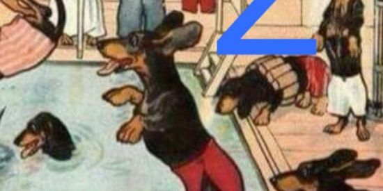 Imagem do grupo de WhatsApp Clube dos salsichas🐕 2