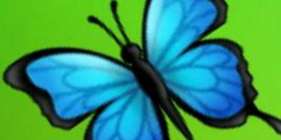 Imagem do grupo de WhatsApp Ary Rifas❤️☘️