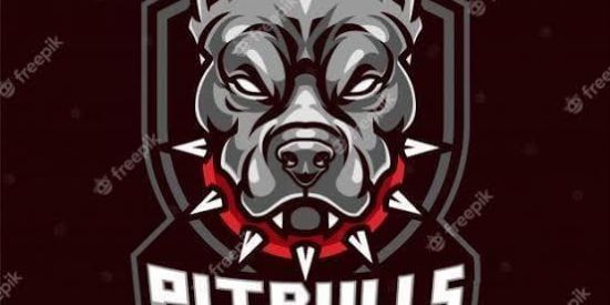 Imagem do grupo de WhatsApp CAMP PITBULL FF🐺