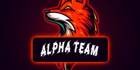 Imagem do grupo de WhatsApp Alpha Team