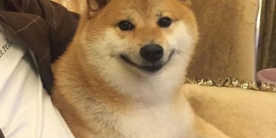 Imagem do grupo de WhatsApp O mundo é nosso 😆