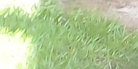 Imagem do grupo de WhatsApp Grupo de divulgação