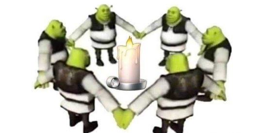 Imagem do grupo de WhatsApp tropa do shrek 🤧🤌🏻