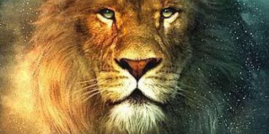 Imagem do grupo de WhatsApp Amigos em Cristo