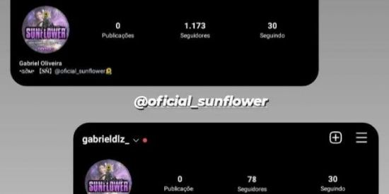 Imagem do grupo de WhatsApp GANHAR SEGUIDORES