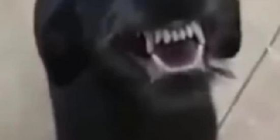 Imagem do grupo de WhatsApp Maicão