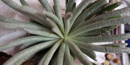 Imagem do grupo de WhatsApp Mundo Fem💁🏻‍♀️🌵Sucu❤️Lover 🌼