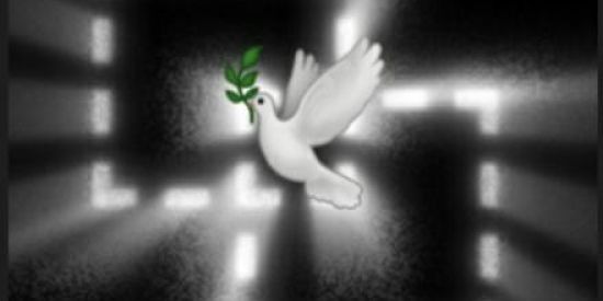 Imagem do grupo de WhatsApp PLUG