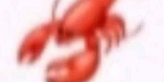 Imagem do grupo de WhatsApp VLADIMIR