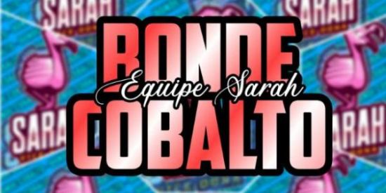 Imagem do grupo de WhatsApp Recrutamento dos cobaltos