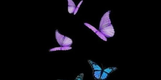 Imagem do grupo de WhatsApp Amigos lgbt