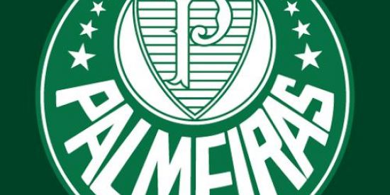 Imagem do grupo de WhatsApp Palmeiras