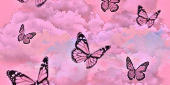 Imagem do grupo de WhatsApp 🦋RESENHA🦋