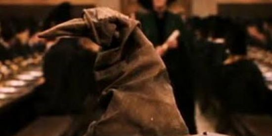 Imagem do grupo de WhatsApp 🦡🦅 CHAPÉU SELETOR 🦁🐍