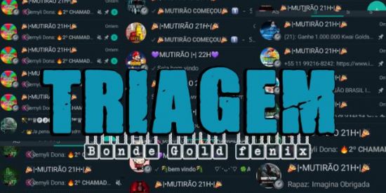 Imagem do grupo de WhatsApp 🌼\\Triagem•♧︎︎ఌ︎fx♧︎︎︎ //🌼