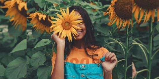 Imagem do grupo de WhatsApp Girassol Luz do sol 🌻