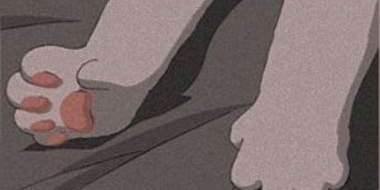 Imagem do grupo de WhatsApp DUBLAGEM GACHA