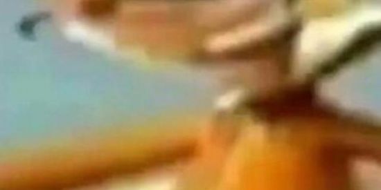 Imagem do grupo de WhatsApp 🔥Amizade é namoro serelepes🔥