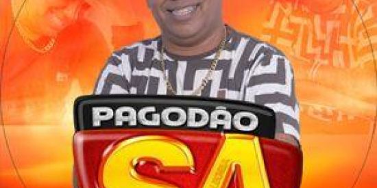 Imagem do grupo de WhatsApp FÃS PAGODÃO SA BR/MUNDO