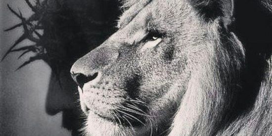 Imagem do grupo de WhatsApp Jovens cristão ✝️