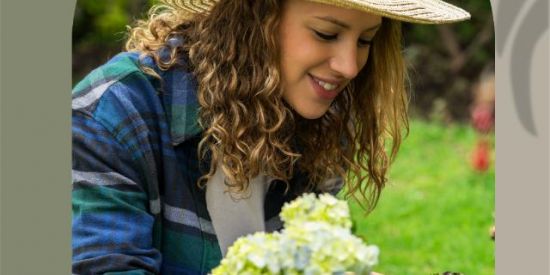 Imagem do grupo de WhatsApp Canto encanto das flores