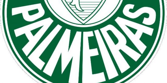 Imagem do grupo de WhatsApp PALMEIRAʂGOD