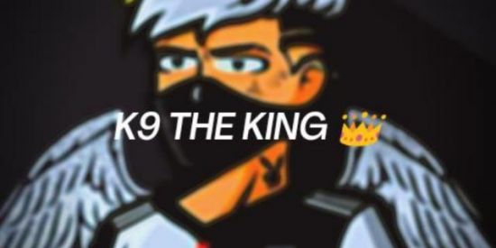 Imagem do grupo de WhatsApp Fãs K9 THE KING 👑