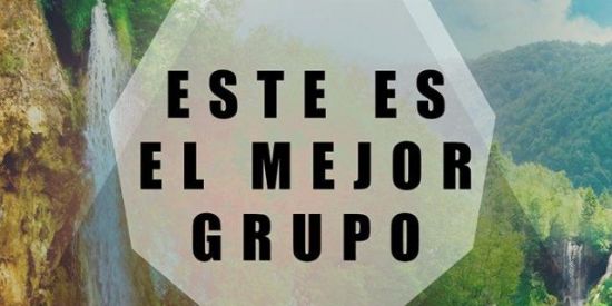 Imagem do grupo de WhatsApp diário do FPZIN🤝