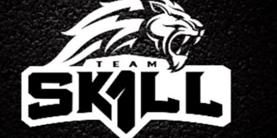 Imagem do grupo de WhatsApp TEAM Sk1ll