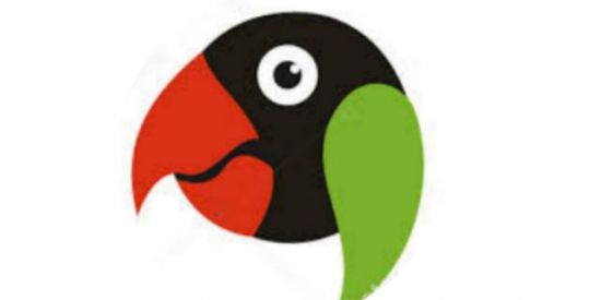 Imagem do grupo de WhatsApp AGAPORNIS  ESPÉCIES 🦜