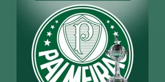 Imagem do grupo de WhatsApp Verdão