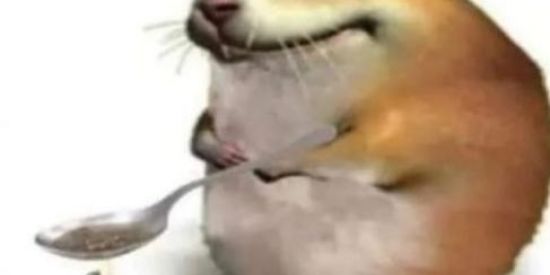 Imagem do grupo de WhatsApp Aleatórios no zap