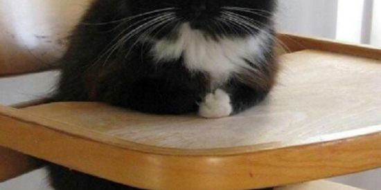 Imagem do grupo de WhatsApp Sem nome . 😂