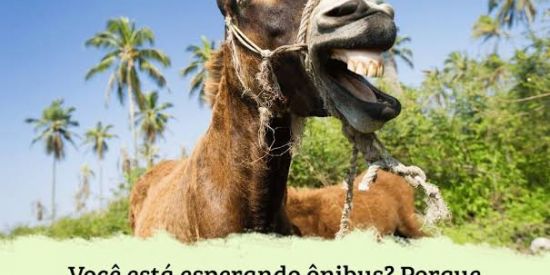 Imagem do grupo de WhatsApp Resenha nws