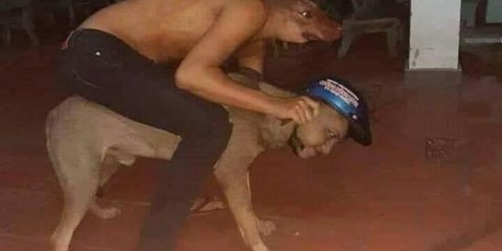 Imagem do grupo de WhatsApp AMIZADE OU AMOR ( litoral sp)