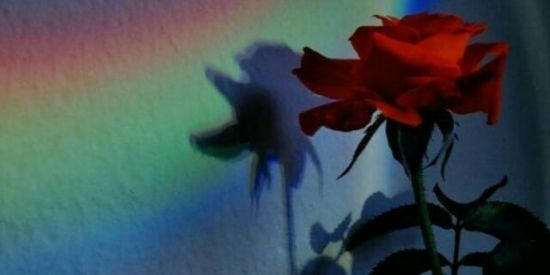 Imagem do grupo de WhatsApp Feios porém bonitos