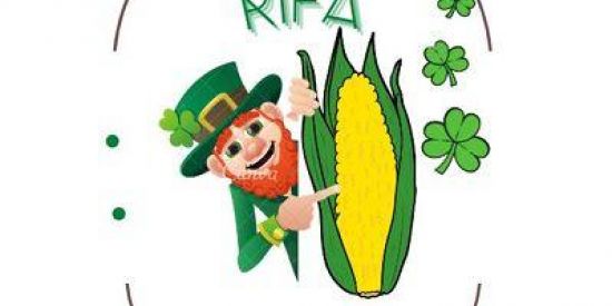 Imagem do grupo de WhatsApp RIFA DO 🌽