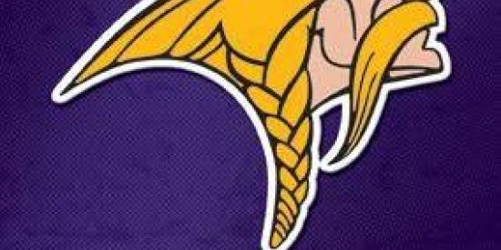 Imagem do grupo de WhatsApp -RCT🇲🇶~VIKINS~🇲🇶