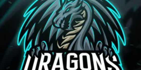 Imagem do grupo de WhatsApp Peneira Loud Dragons🔰⚔️